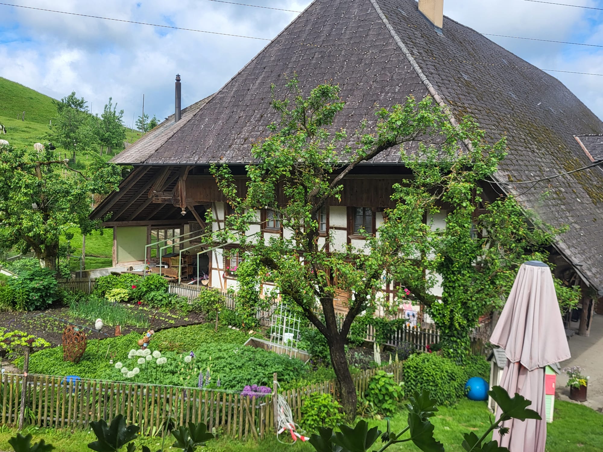 Ferienwohnung – Wohnbereich mit Ausblick