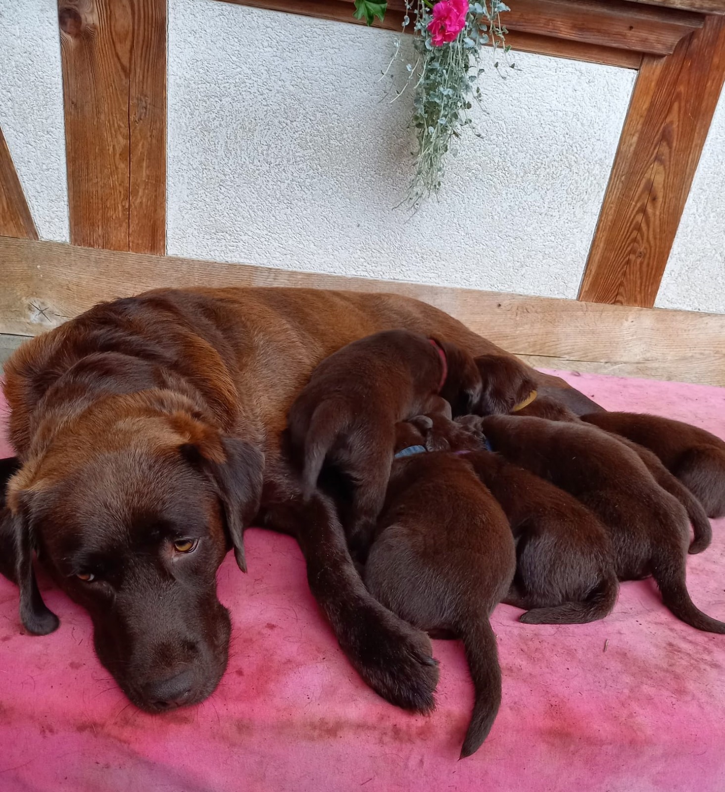 Erste Entdeckungstour am Hof